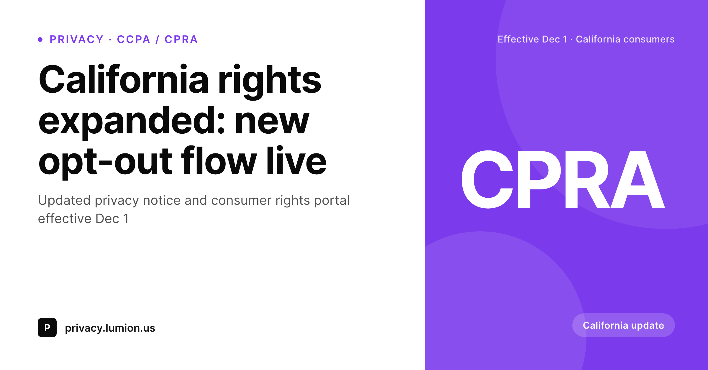 SleekPixel example output for CCPA update card
