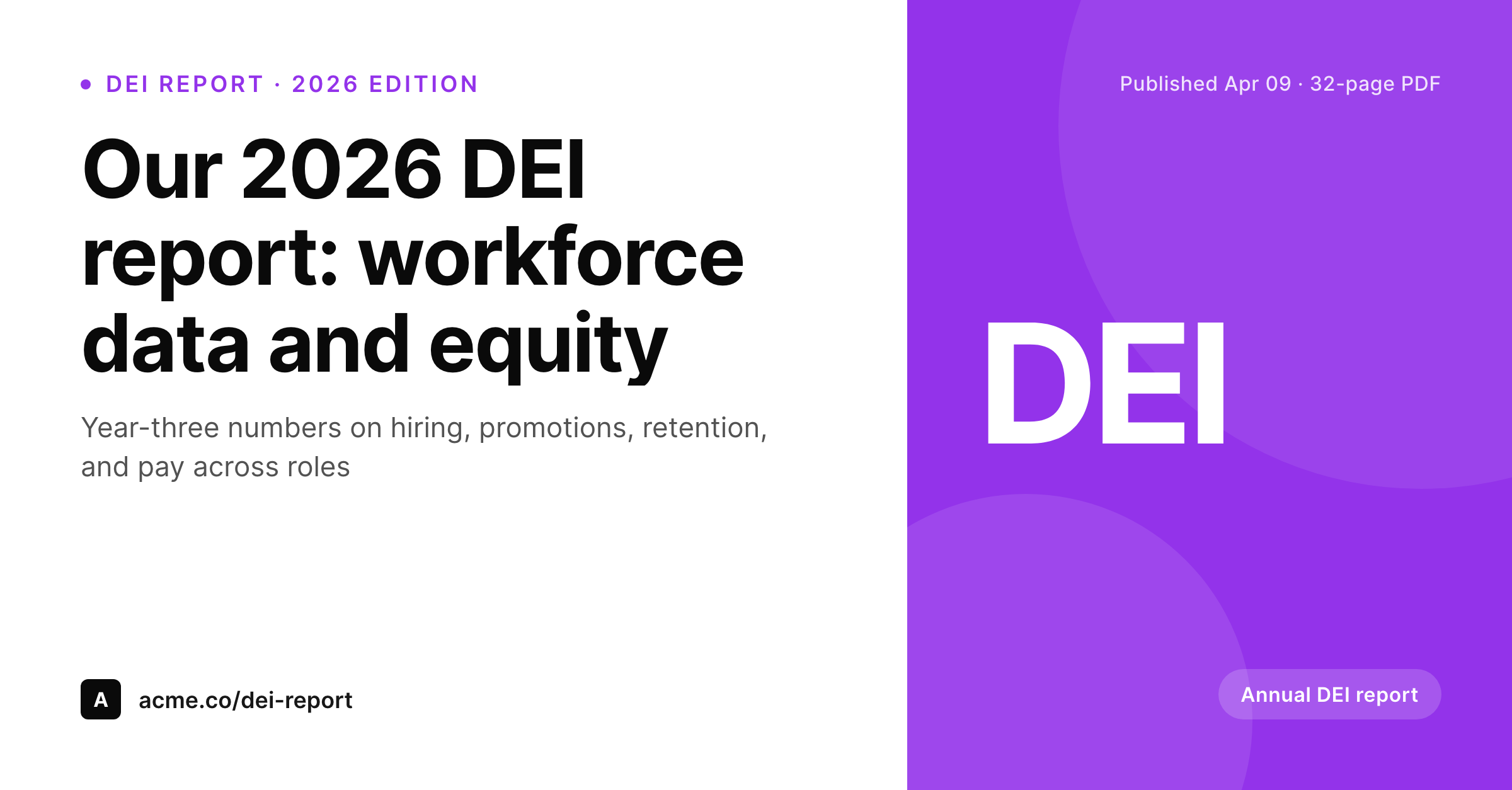 SleekPixel example output for diversity report card