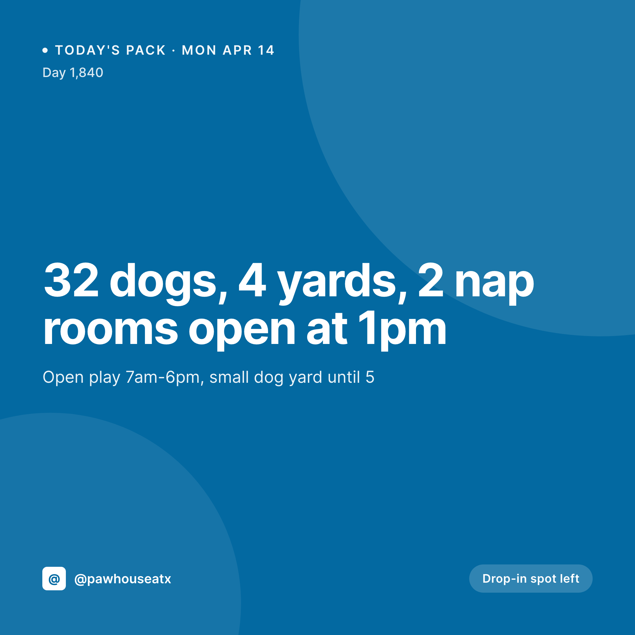 SleekPixel example output for dog daycare