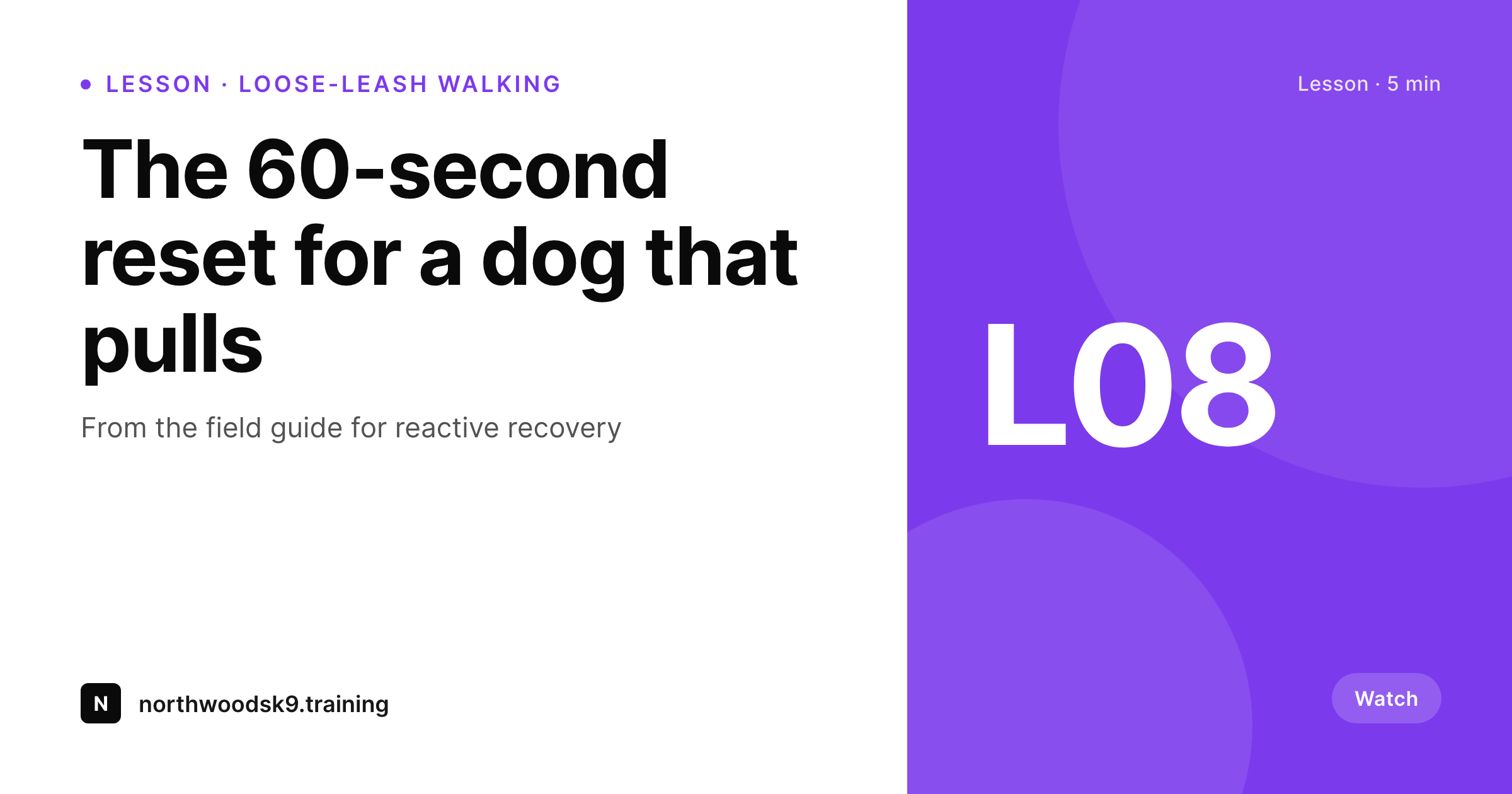 SleekPixel example output for dog trainers