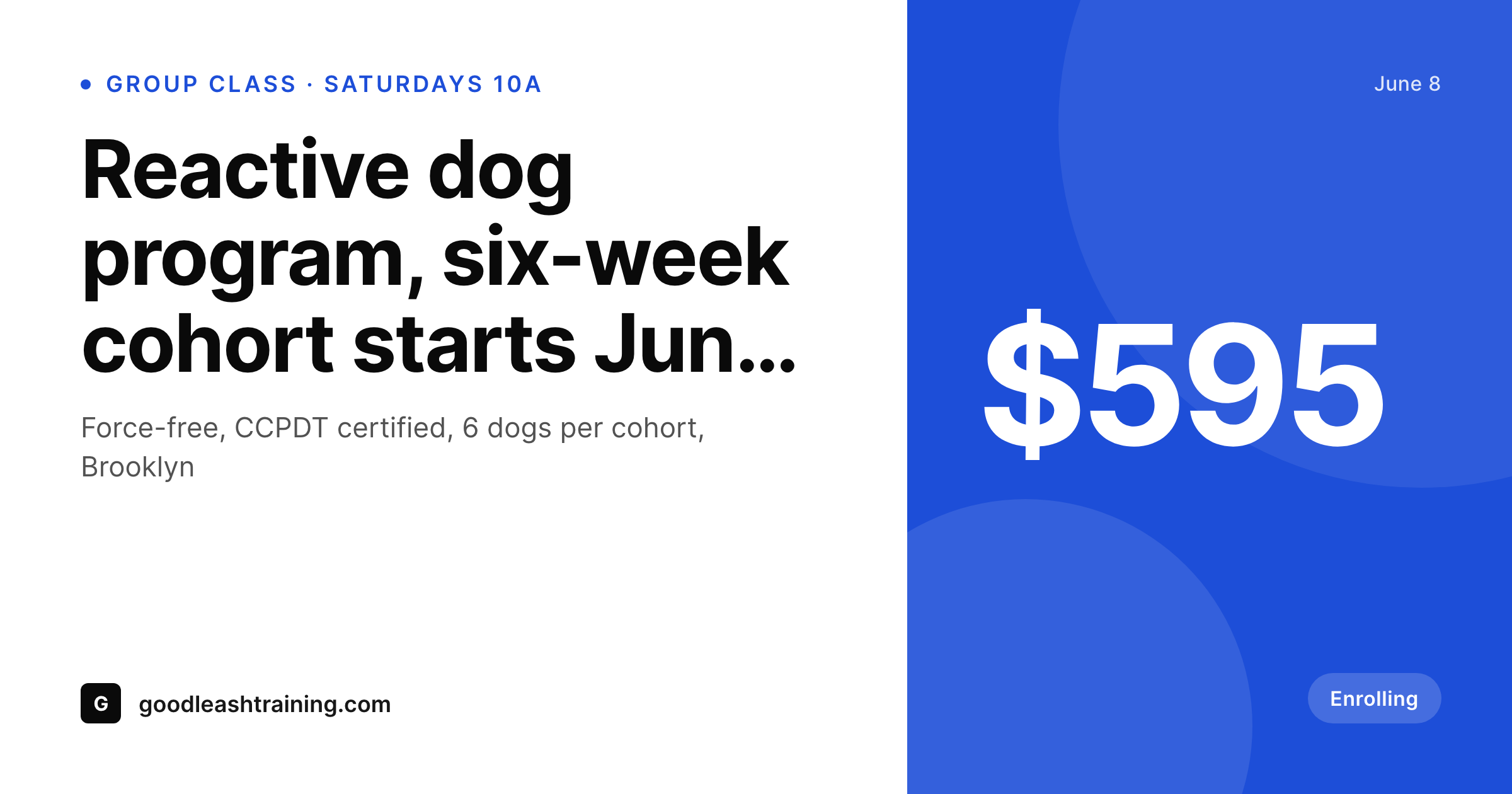 SleekPixel example output for dog training school