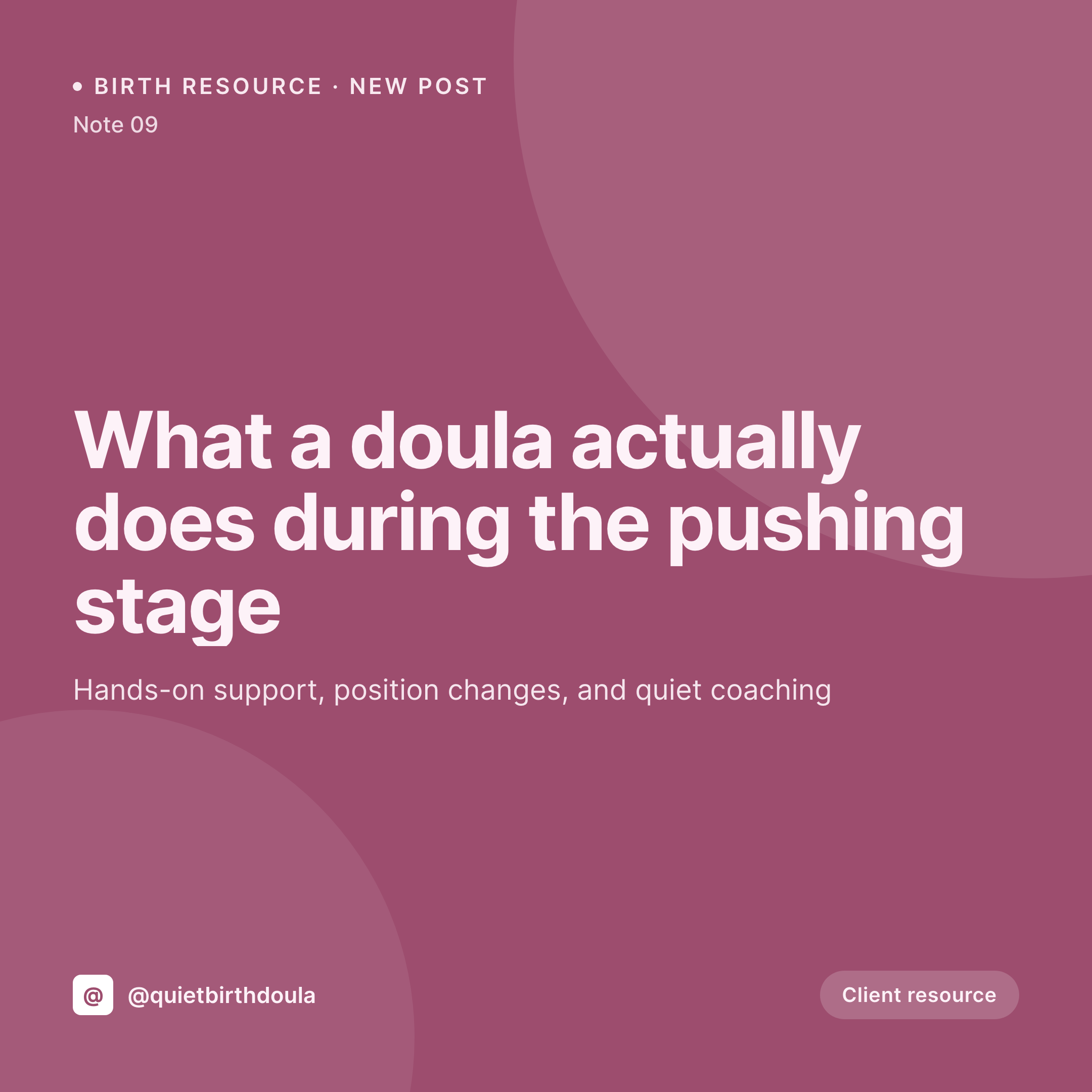 SleekPixel example output for doulas