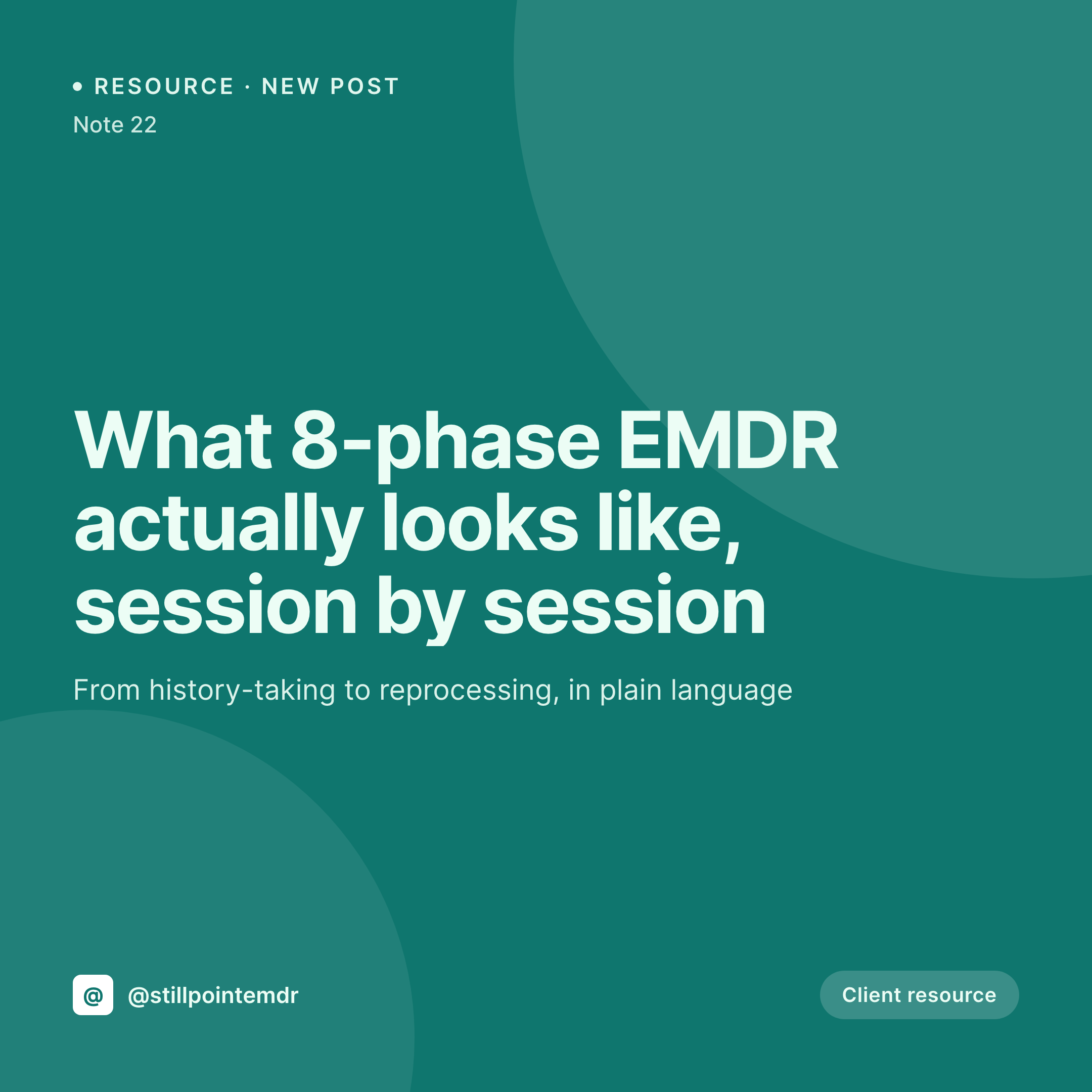 SleekPixel example output for EMDR therapists