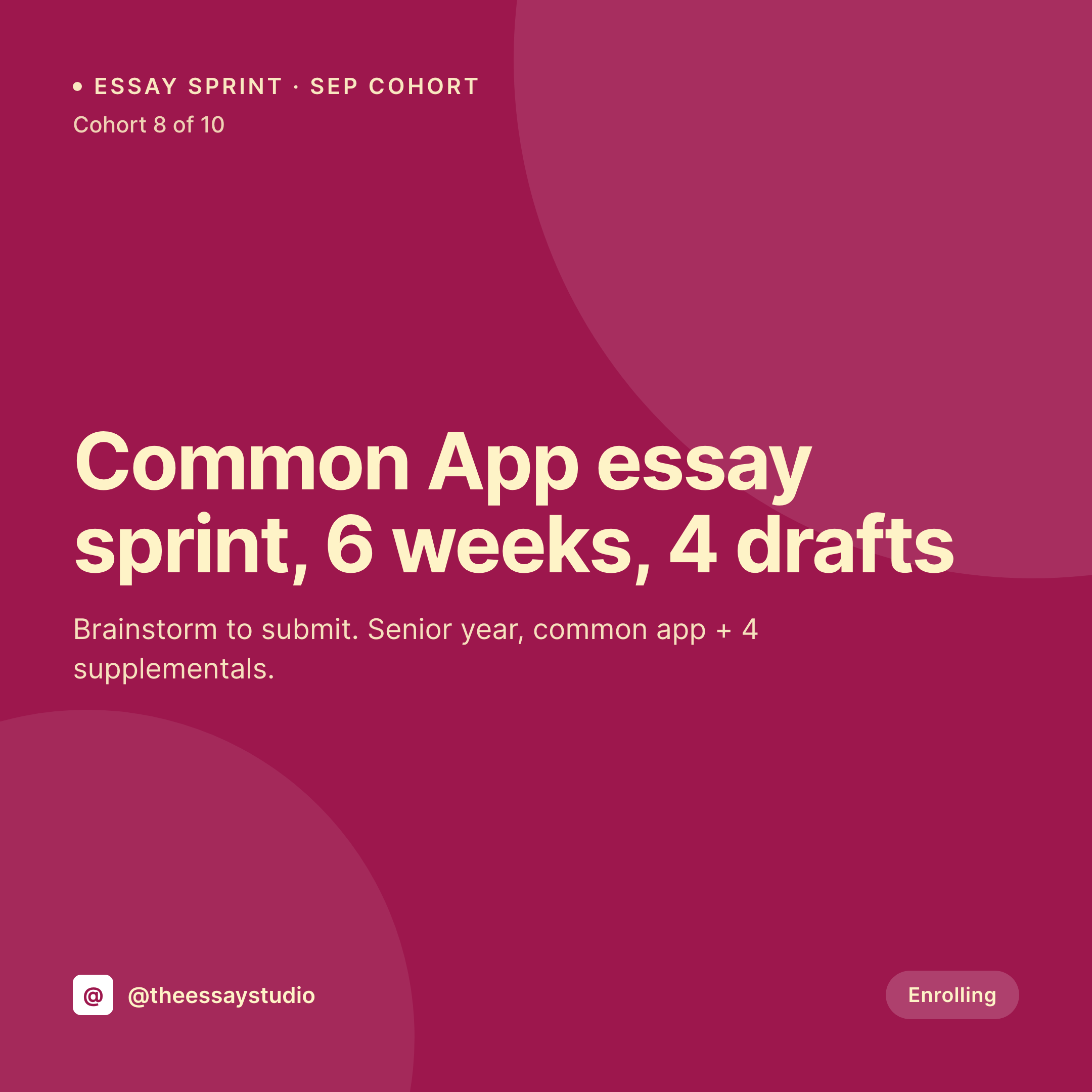 SleekPixel example output for essay coach