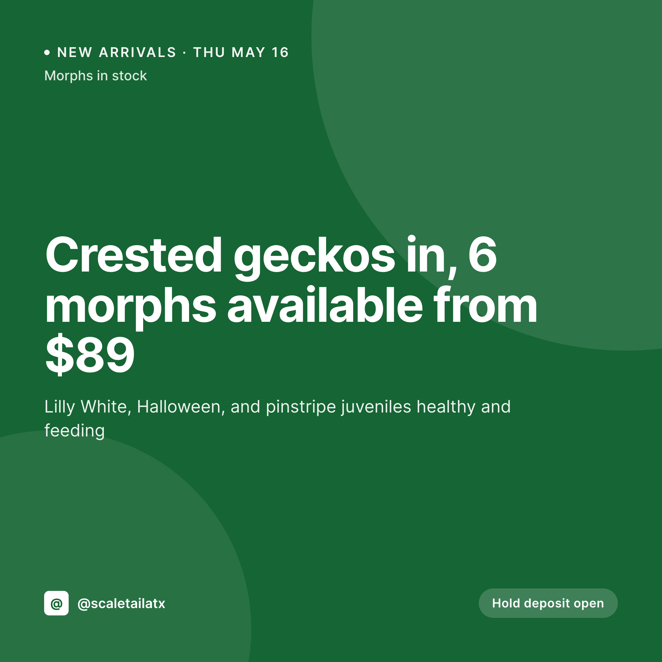 SleekPixel example output for exotic pet store