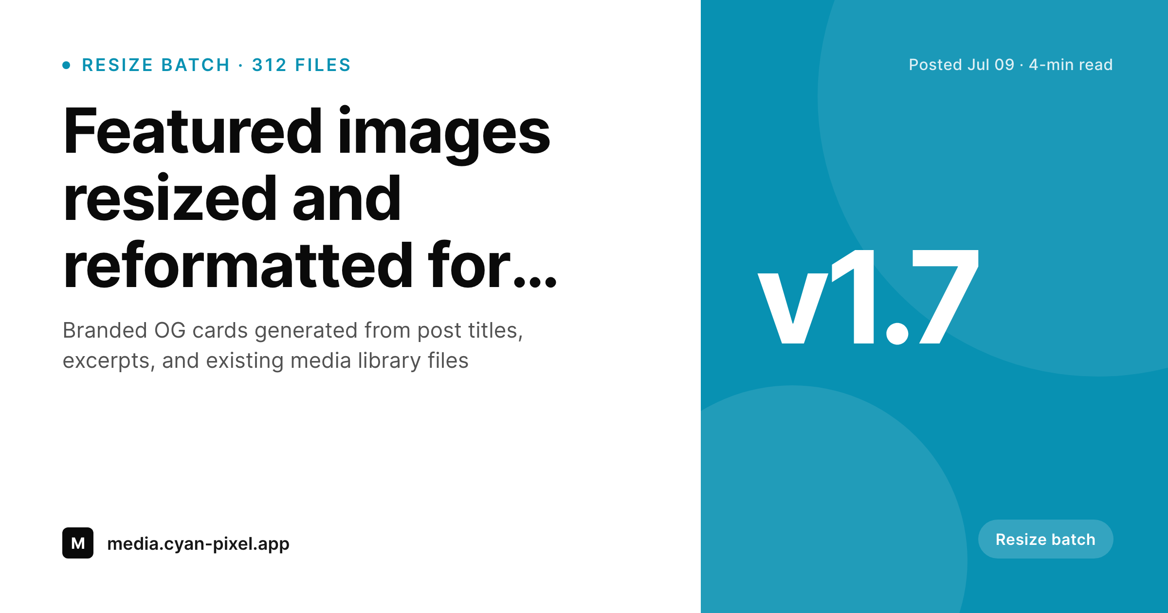 SleekPixel example output for Fitto alternative for WordPress