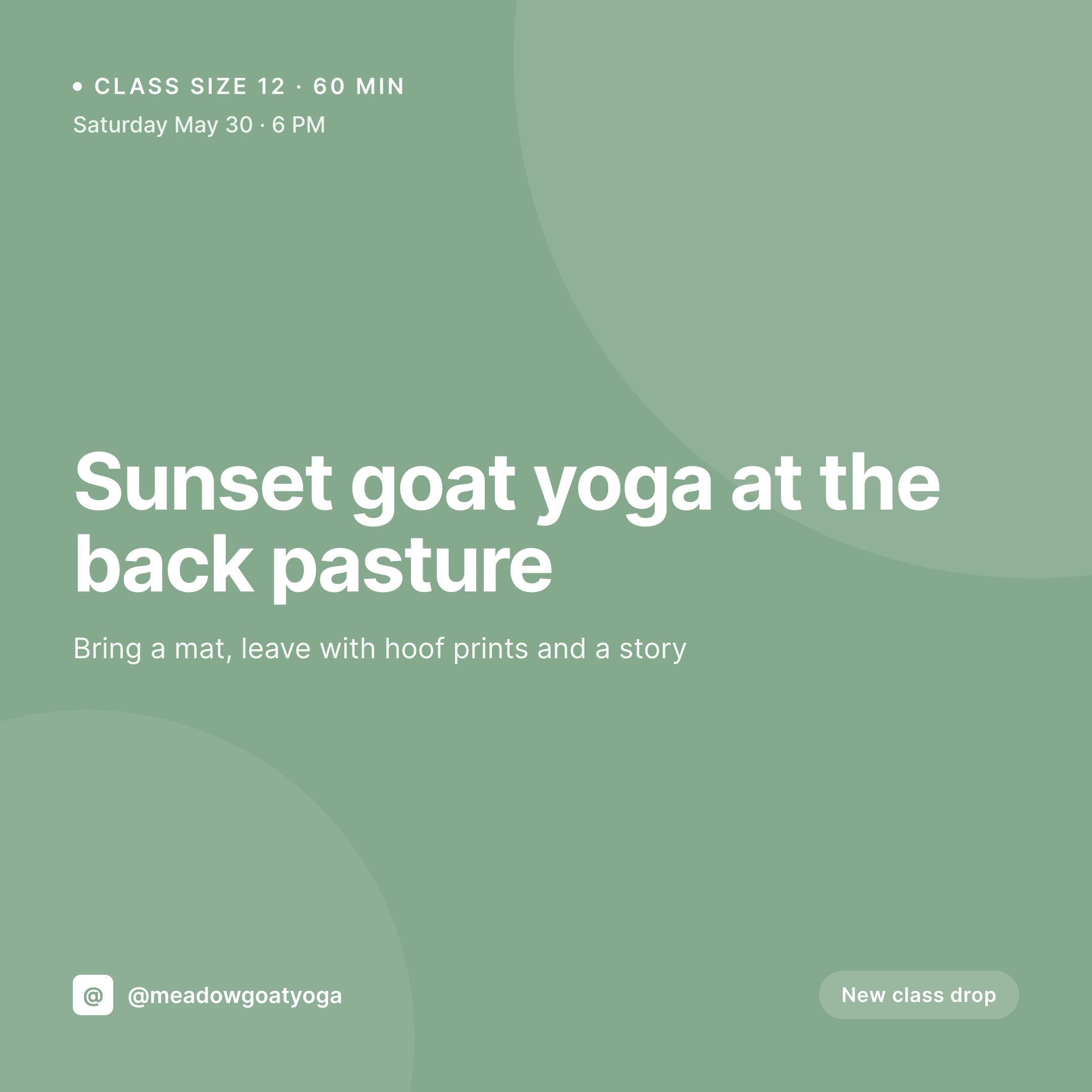 SleekPixel example output for goat yoga studio