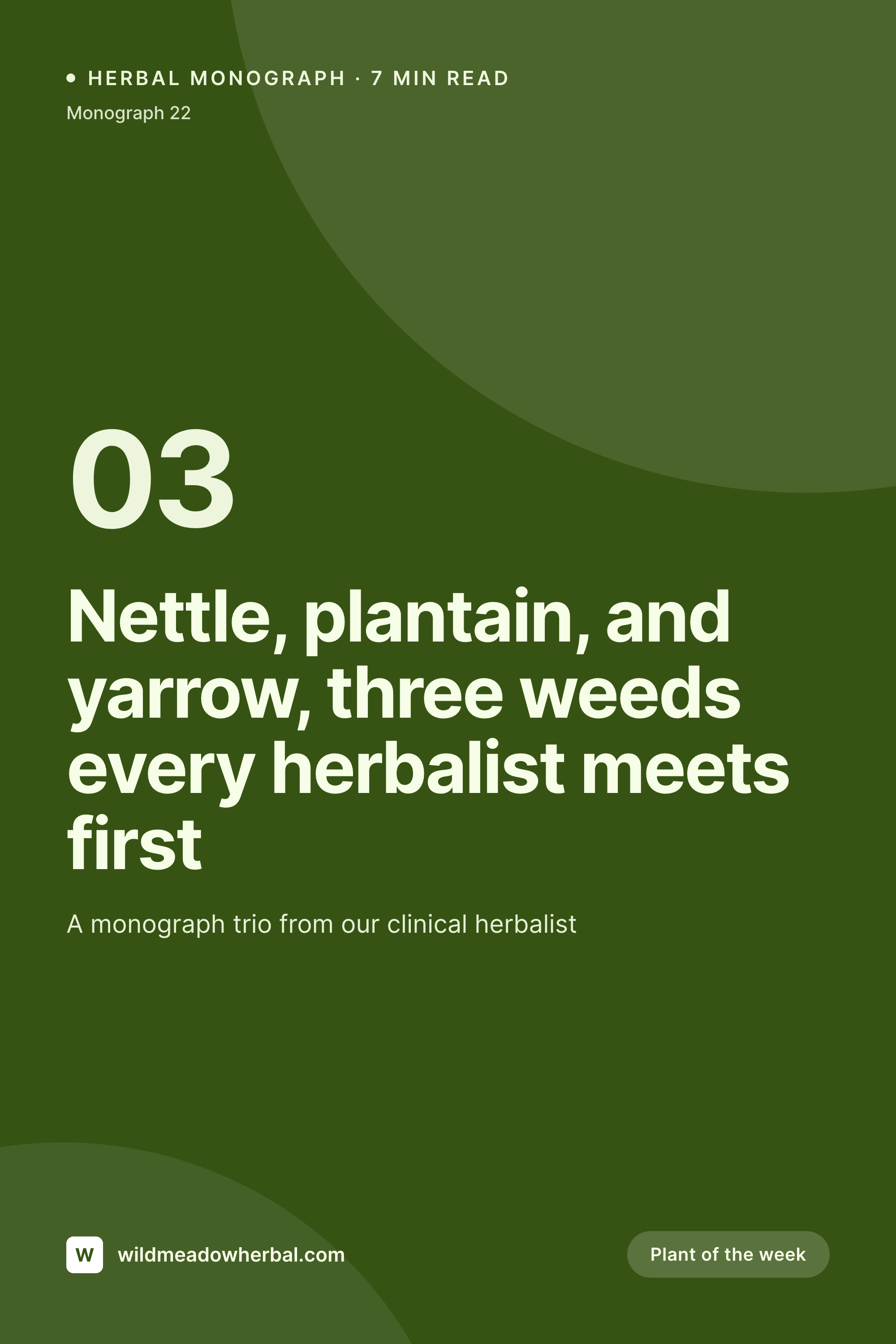SleekPixel example output for herbalists