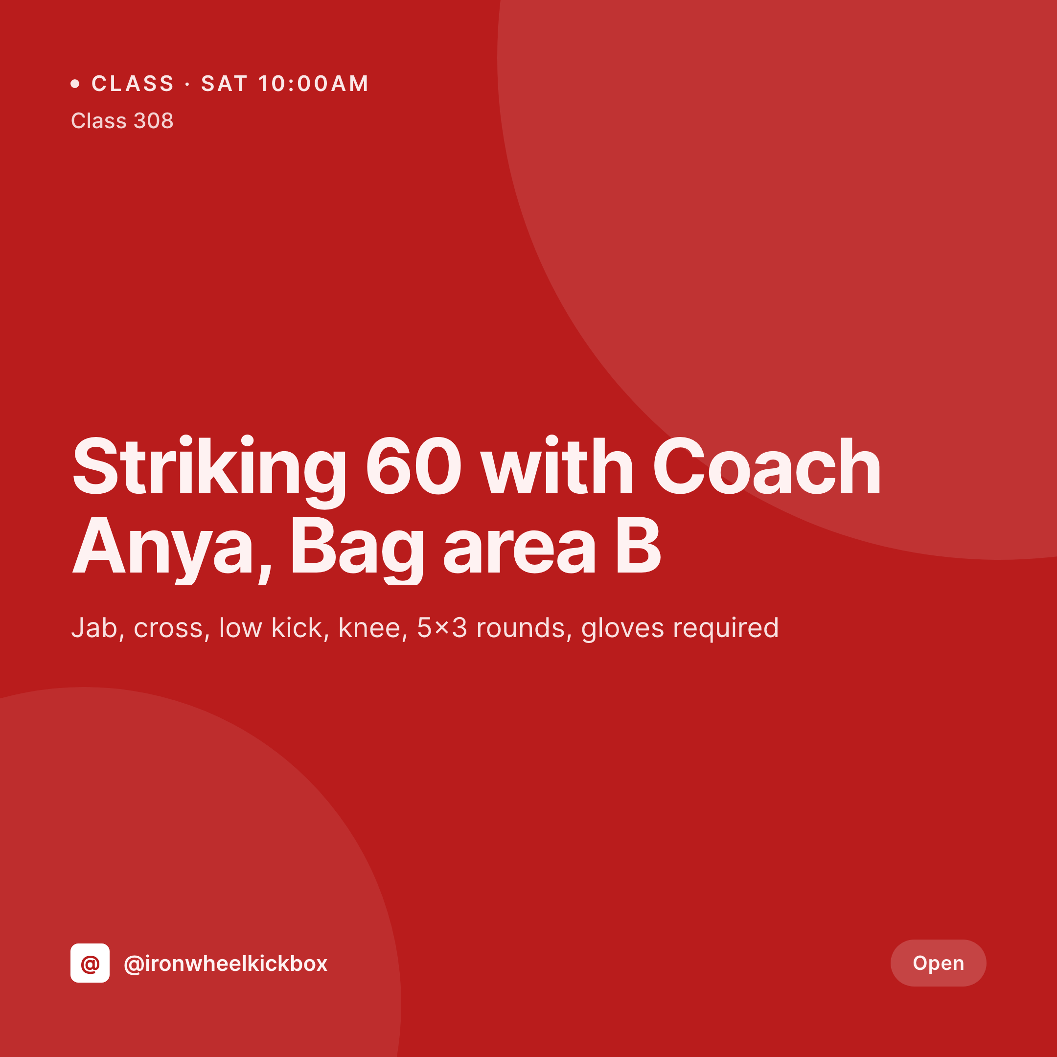 SleekPixel example output for kickboxing gym