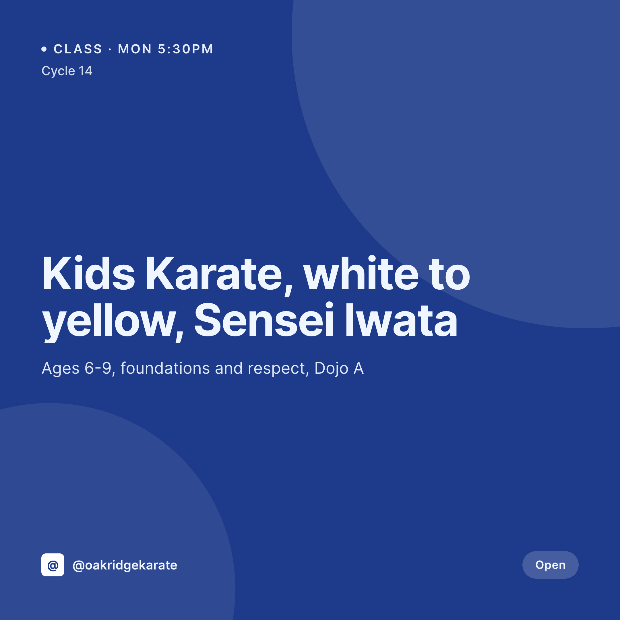 SleekPixel example output for martial arts school