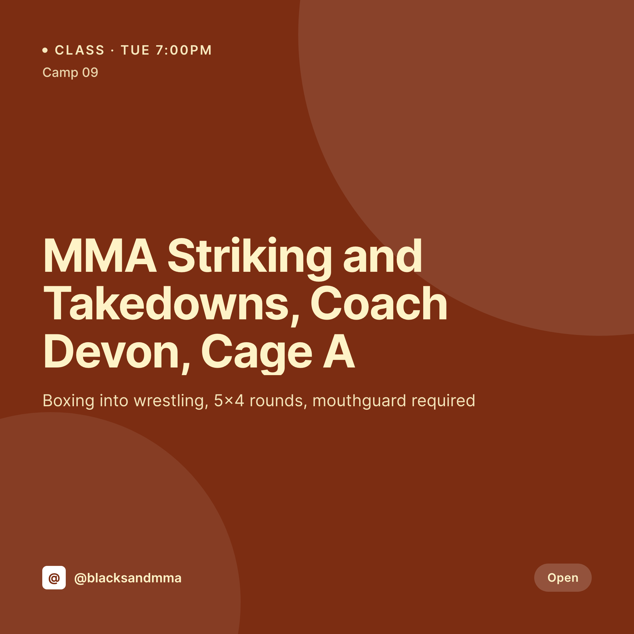 SleekPixel example output for MMA gym