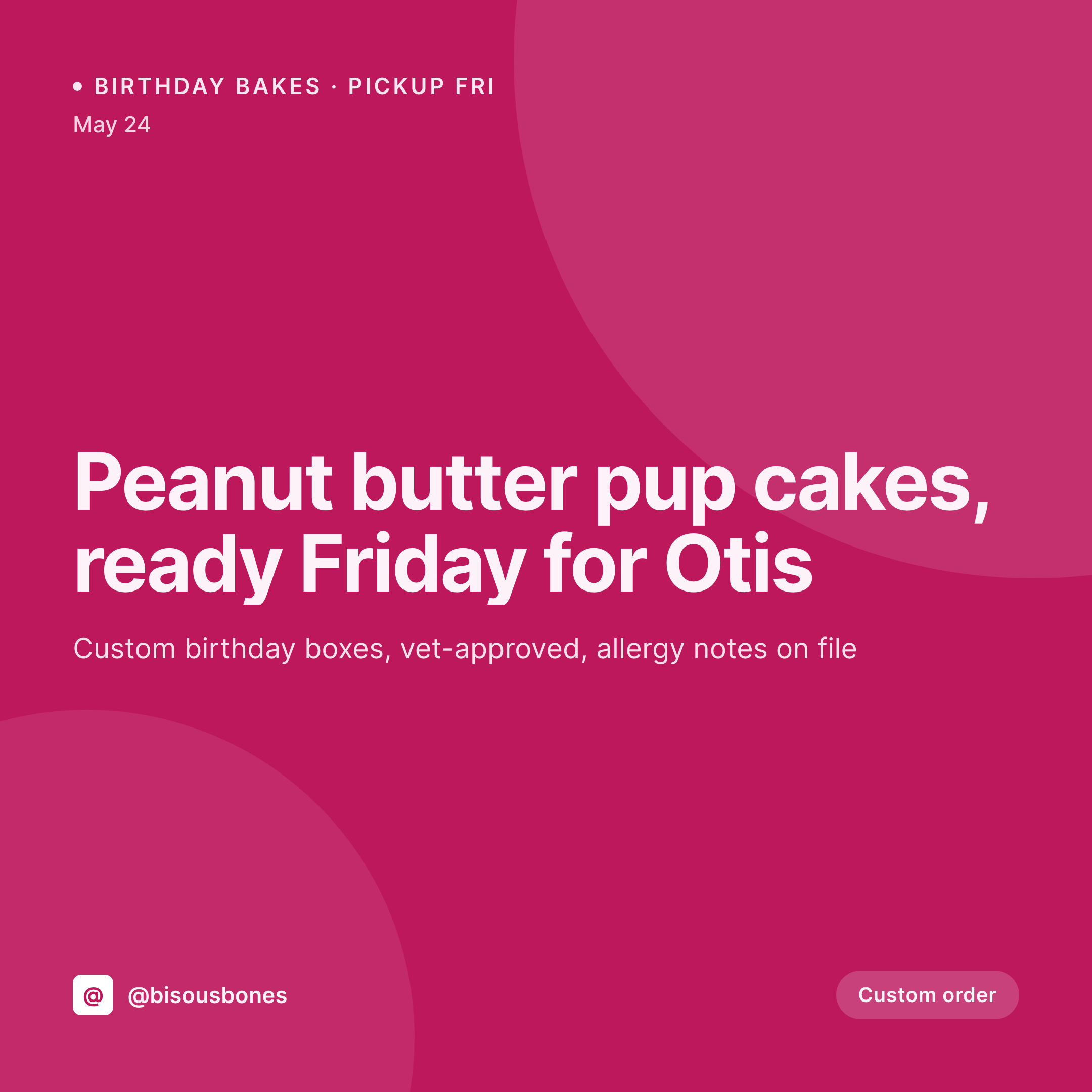 SleekPixel example output for pet bakery