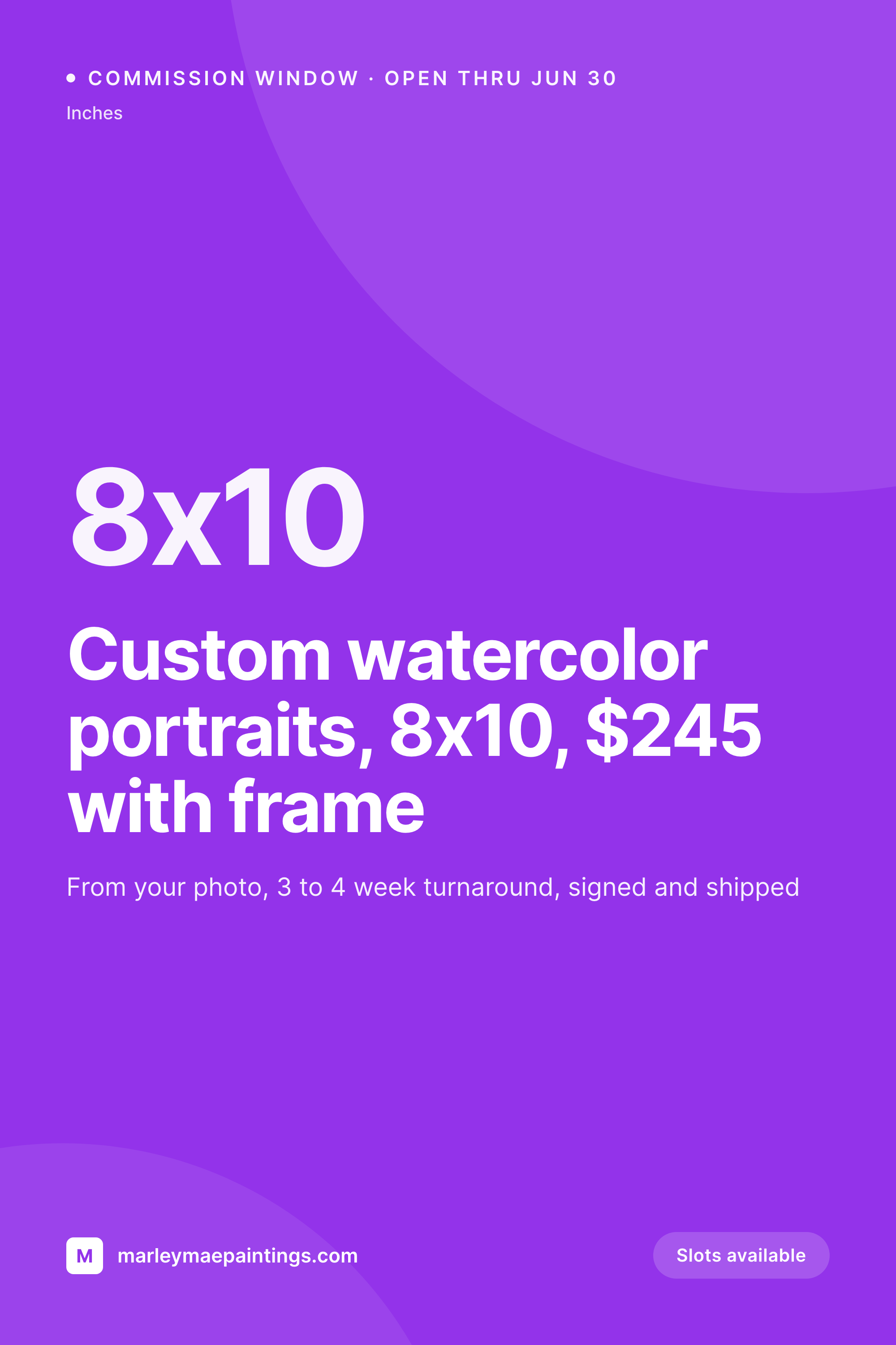 SleekPixel example output for pet portrait artist