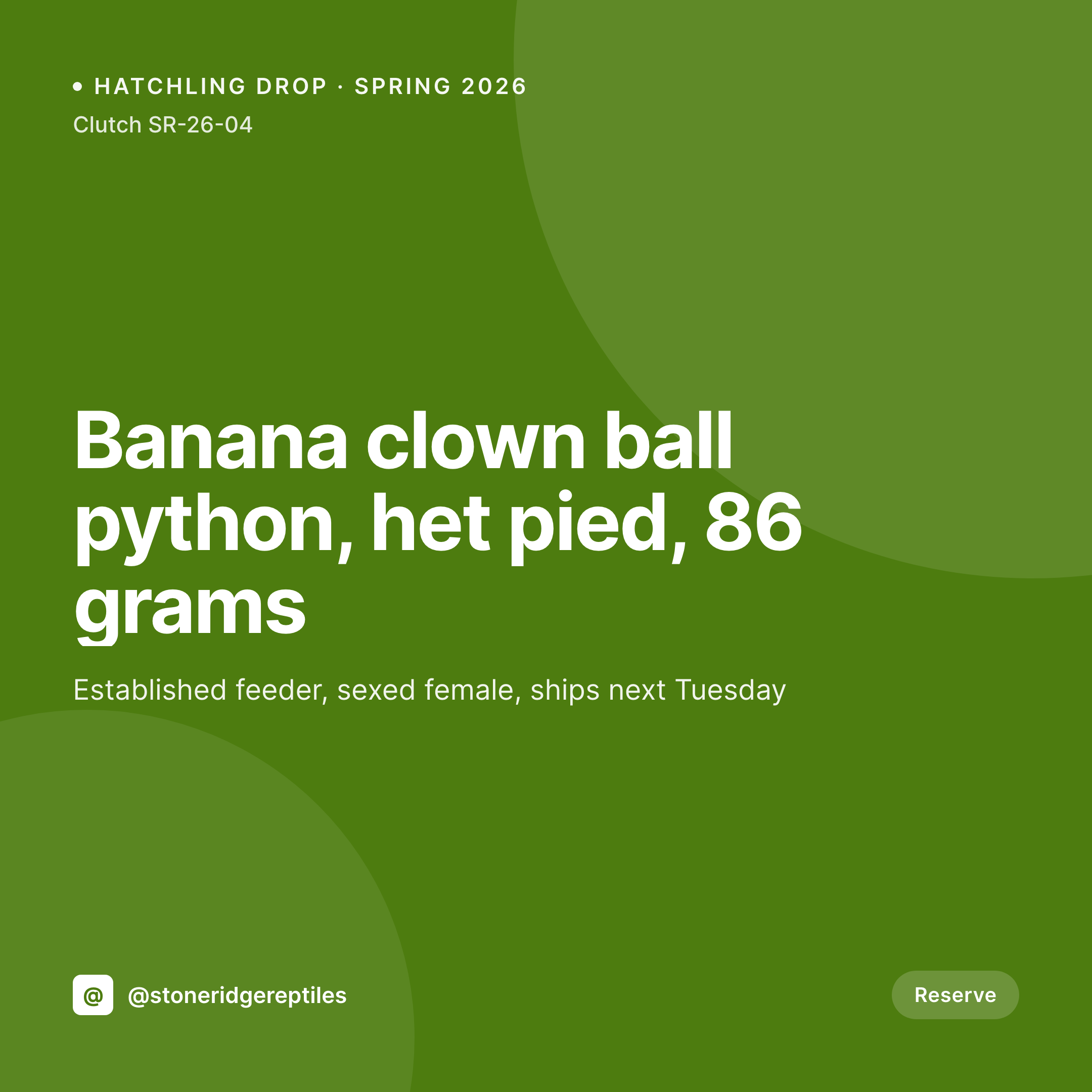 SleekPixel example output for reptile breeder