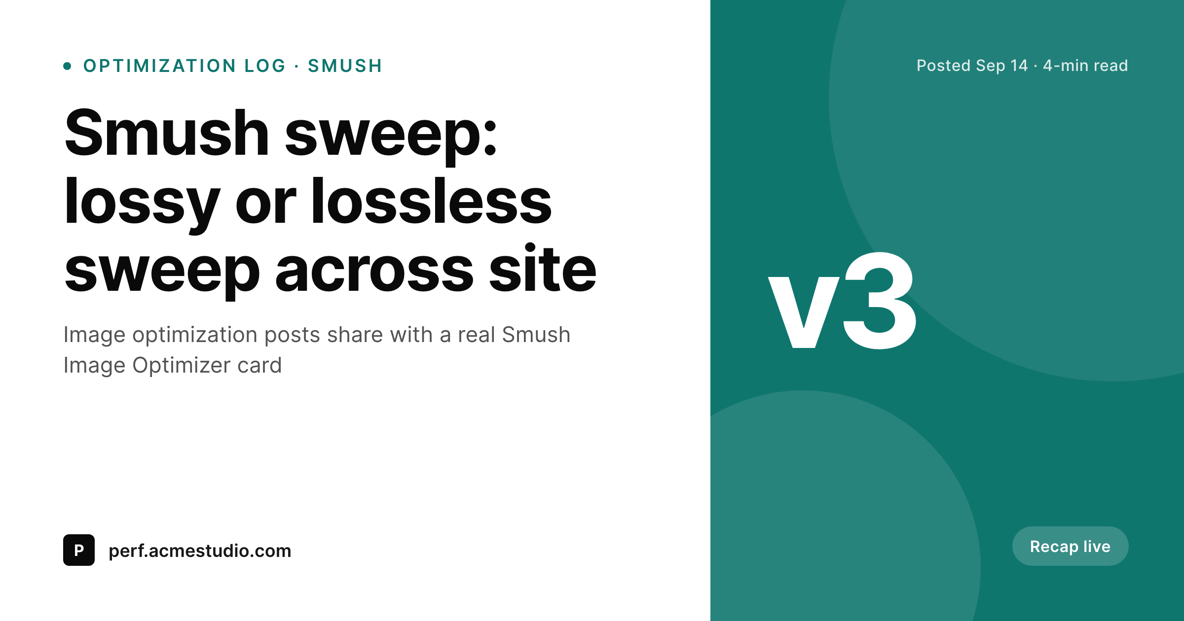 SleekPixel example output for Smush Image Optimizer