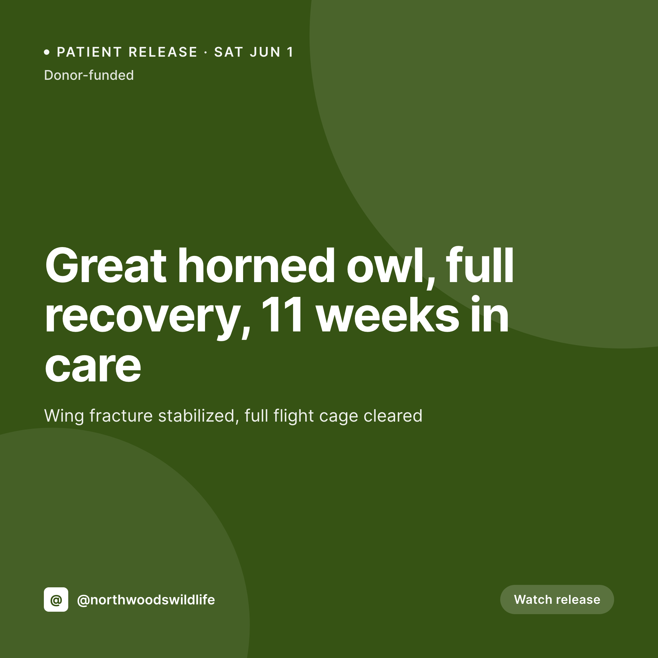 SleekPixel example output for wildlife rescue